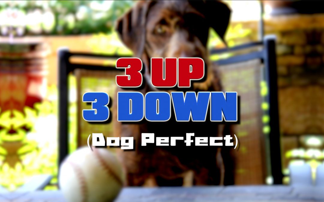 Dog Perfect 3UP 3DOWN